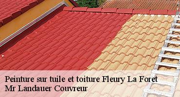 peinture-sur-tuile-et-toiture-1