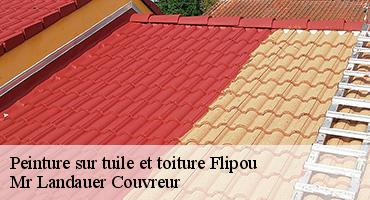 peinture-sur-tuile-et-toiture-1