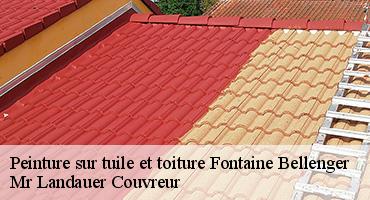 peinture-sur-tuile-et-toiture-1