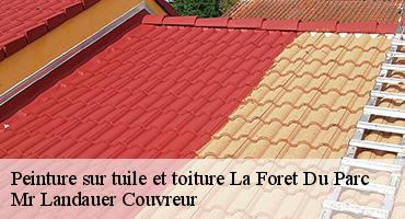 peinture-sur-tuile-et-toiture-1