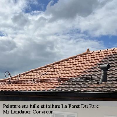 peinture-sur-tuile-et-toiture-4