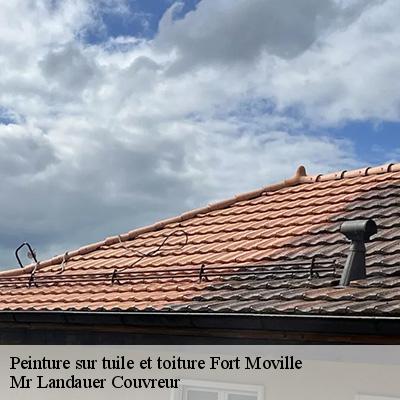peinture-sur-tuile-et-toiture-4