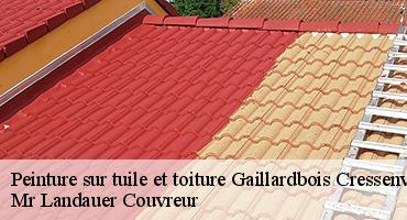 peinture-sur-tuile-et-toiture-1