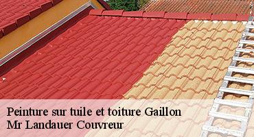 peinture-sur-tuile-et-toiture-1