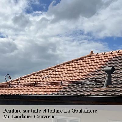 peinture-sur-tuile-et-toiture-4