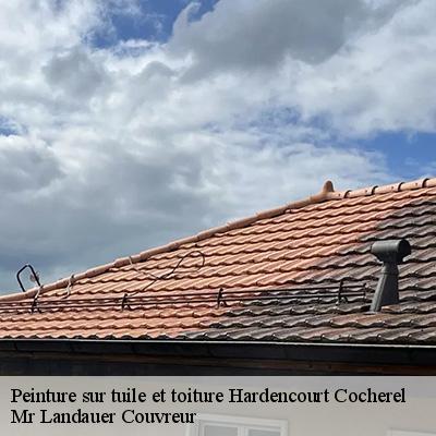 peinture-sur-tuile-et-toiture-4