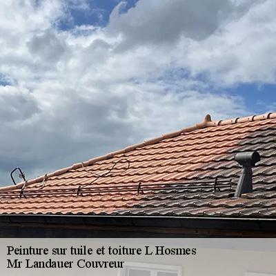 peinture-sur-tuile-et-toiture-4