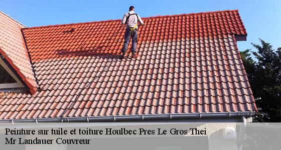 peinture-sur-tuile-et-toiture-7