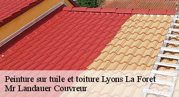 peinture-sur-tuile-et-toiture-1