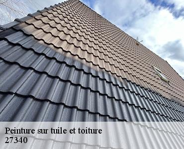 peinture-sur-tuile-et-toiture-2