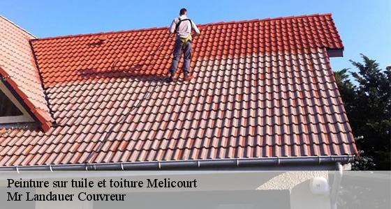 peinture-sur-tuile-et-toiture-7