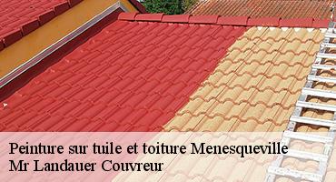 peinture-sur-tuile-et-toiture-1