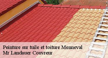 peinture-sur-tuile-et-toiture-1