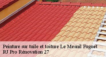 peinture-sur-tuile-et-toiture-1