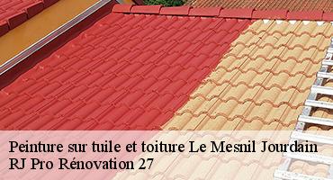 peinture-sur-tuile-et-toiture-1