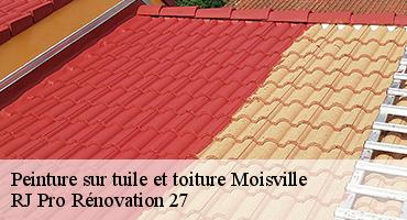 peinture-sur-tuile-et-toiture-1