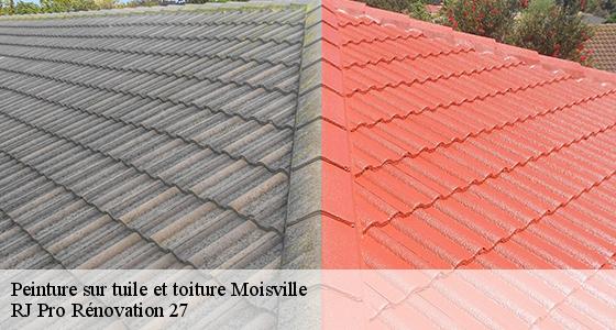 peinture-sur-tuile-et-toiture-7