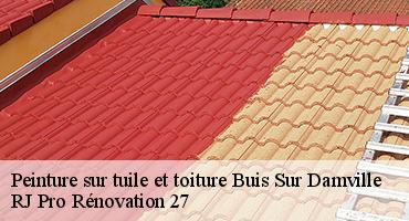 peinture-sur-tuile-et-toiture-1