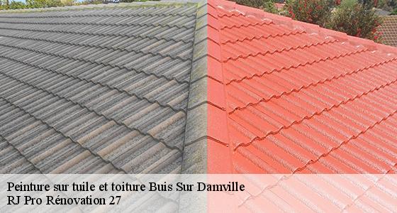 peinture-sur-tuile-et-toiture-7
