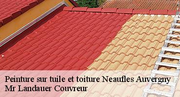 peinture-sur-tuile-et-toiture-1