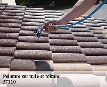 peinture-sur-tuile-et-toiture-2