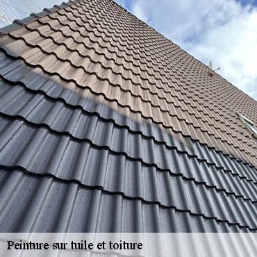 peinture-sur-tuile-et-toiture-3