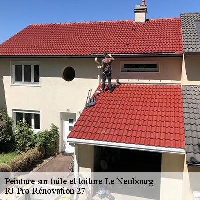peinture-sur-tuile-et-toiture-4