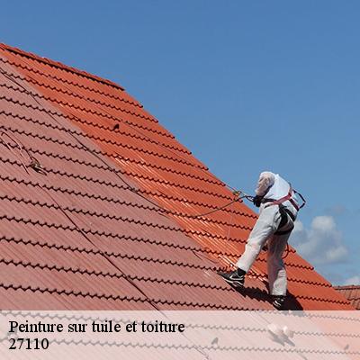peinture-sur-tuile-et-toiture-5