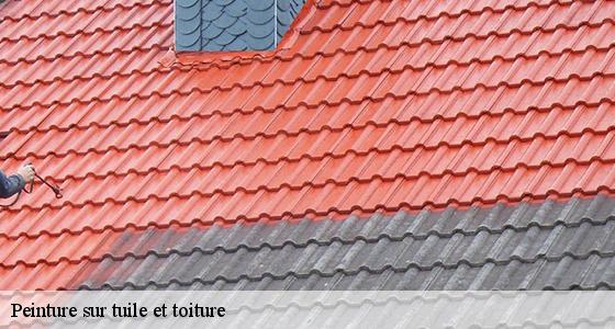 peinture-sur-tuile-et-toiture-6