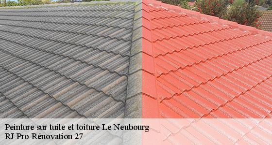 peinture-sur-tuile-et-toiture-7