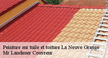 peinture-sur-tuile-et-toiture-1