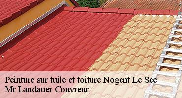 peinture-sur-tuile-et-toiture-1