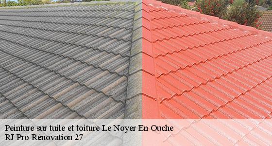 peinture-sur-tuile-et-toiture-7
