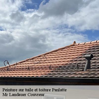peinture-sur-tuile-et-toiture-4