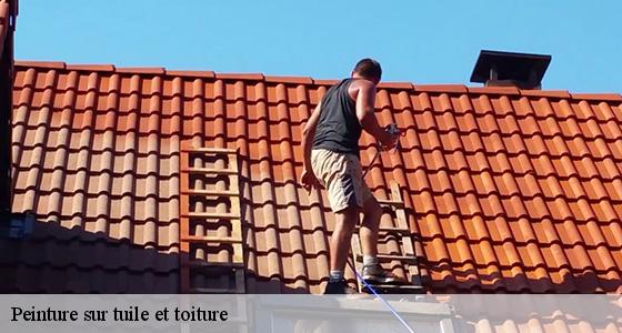 peinture-sur-tuile-et-toiture-6
