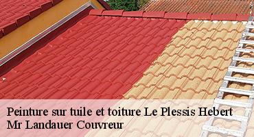 peinture-sur-tuile-et-toiture-1