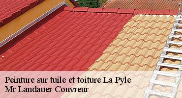 peinture-sur-tuile-et-toiture-1