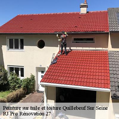 peinture-sur-tuile-et-toiture-4