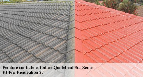 peinture-sur-tuile-et-toiture-7