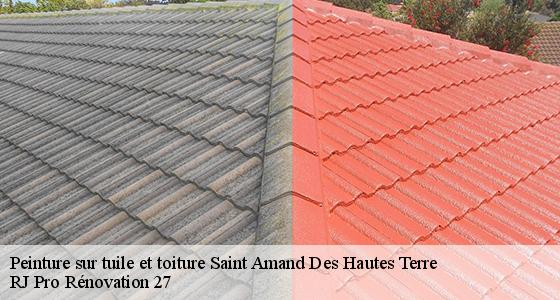 peinture-sur-tuile-et-toiture-7
