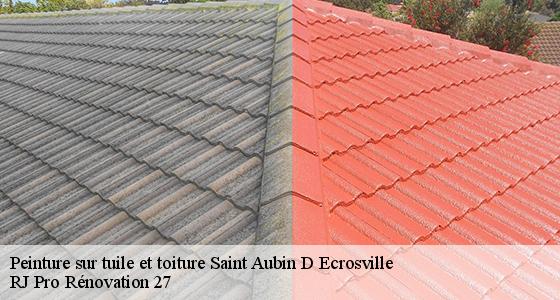 peinture-sur-tuile-et-toiture-7
