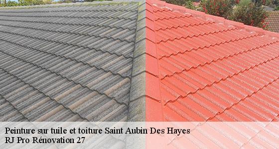 peinture-sur-tuile-et-toiture-7