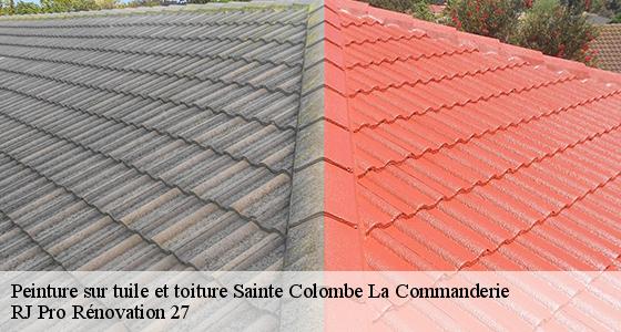 peinture-sur-tuile-et-toiture-7