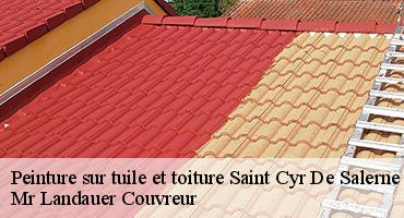 peinture-sur-tuile-et-toiture-1