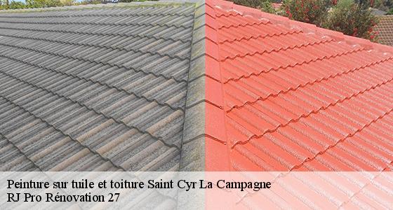 peinture-sur-tuile-et-toiture-7