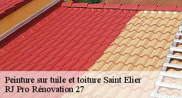 peinture-sur-tuile-et-toiture-1