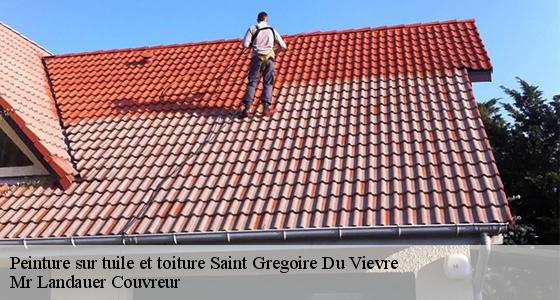 peinture-sur-tuile-et-toiture-7