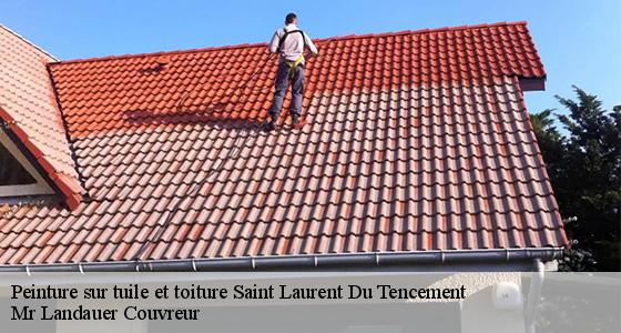 peinture-sur-tuile-et-toiture-7