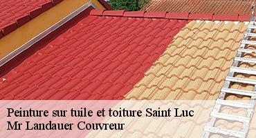 peinture-sur-tuile-et-toiture-1