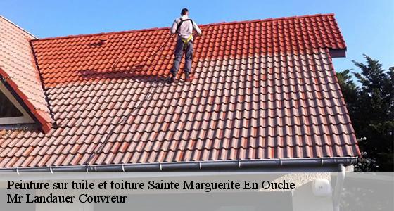 peinture-sur-tuile-et-toiture-7